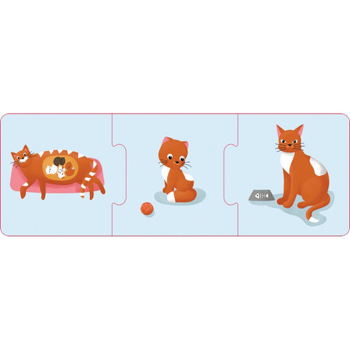 Логічні ланцюжки. Тварини і рослини. Етапи розвитку